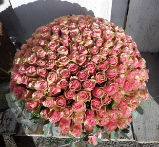 Pušķis- 201 rozā roze